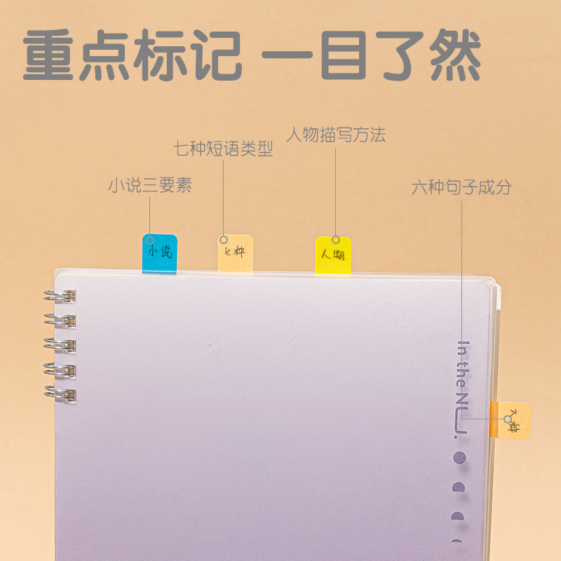 得力25905索引標(biāo)簽(混)