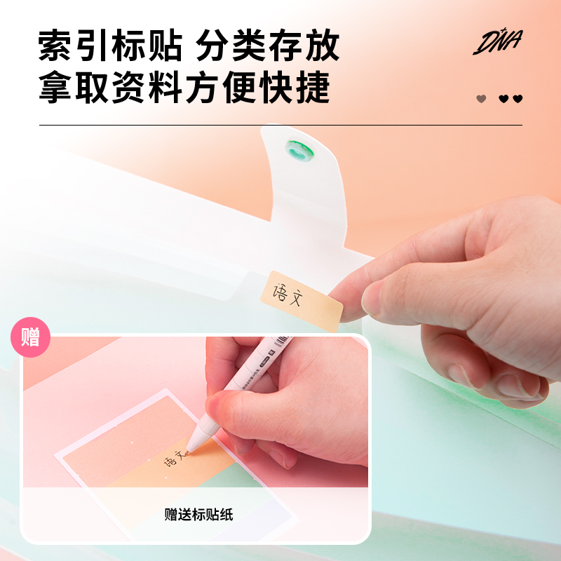 得力72363_8格風琴包(綠)