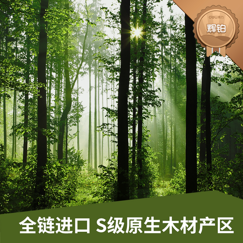 得力7799輝鉑復(fù)印紙-A4-80g-10包(混)(包)