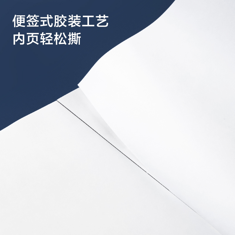 紐賽NS734紐賽馬克本110g-A4-60頁(yè)(本)(混)
