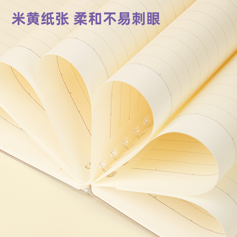 得力PHA550專利護(hù)眼活頁(yè)本(專利護(hù)眼)(本)