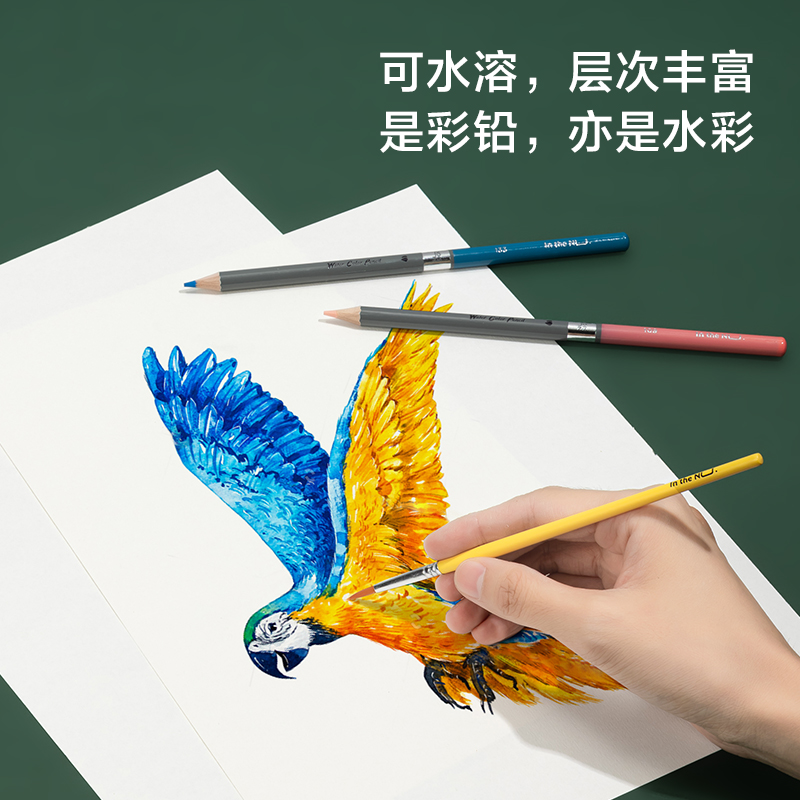 紐賽NS731-48紐賽水溶性彩鉛(混)(48色/盒)
