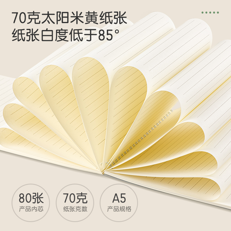 得力LPA580-02PP螺旋本(上翻橫線)(本)