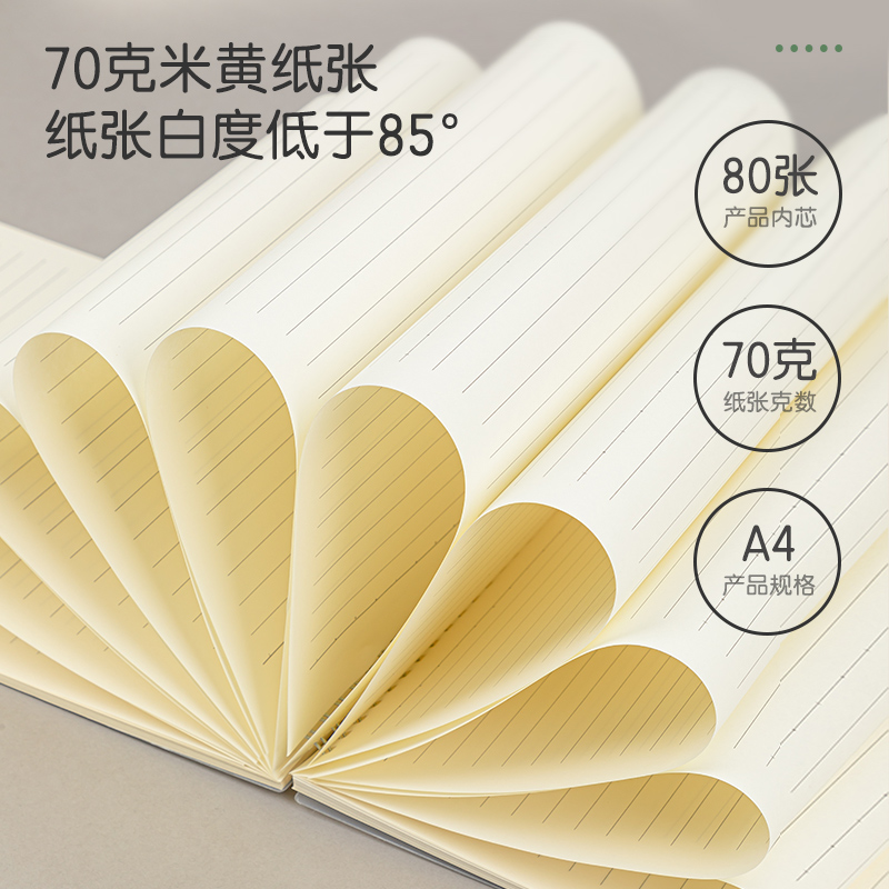 得力LPA480-02PP螺旋本(上翻橫線)(本)