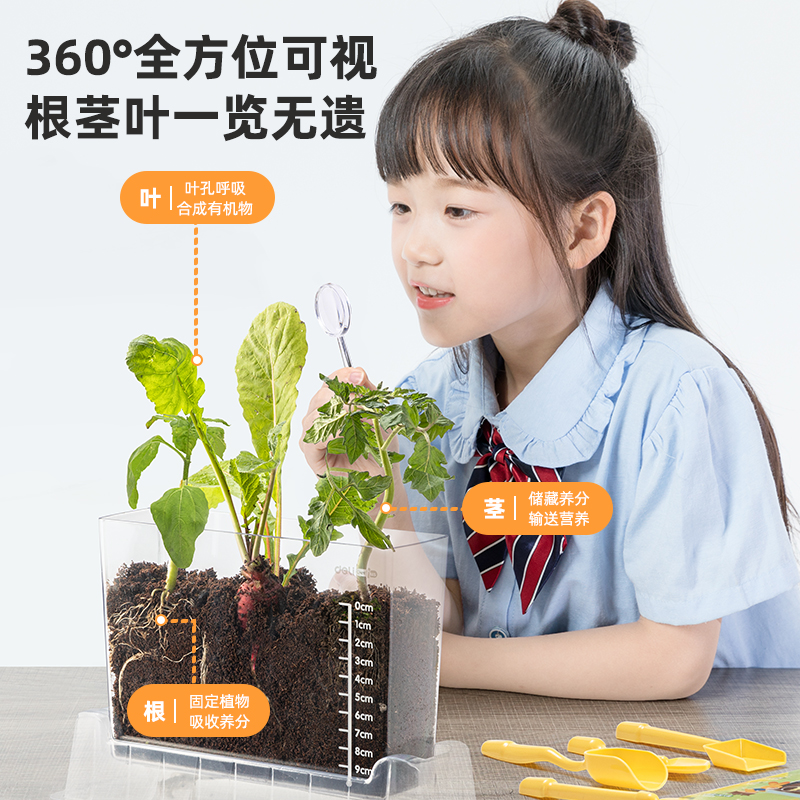 得力YX426植物根系觀察盒(混)(盒)