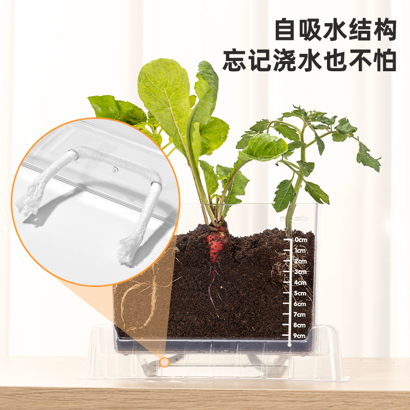 得力YX426植物根系觀察盒(混)(盒)