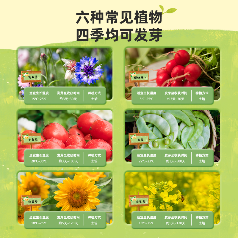 得力YX426植物根系觀察盒(混)(盒)