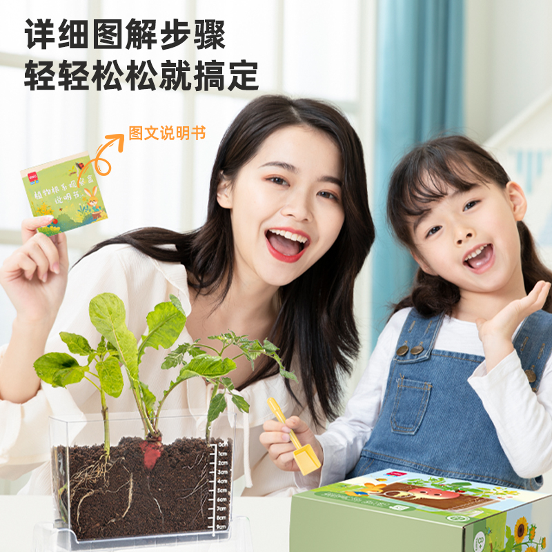 得力YX426植物根系觀察盒(混)(盒)