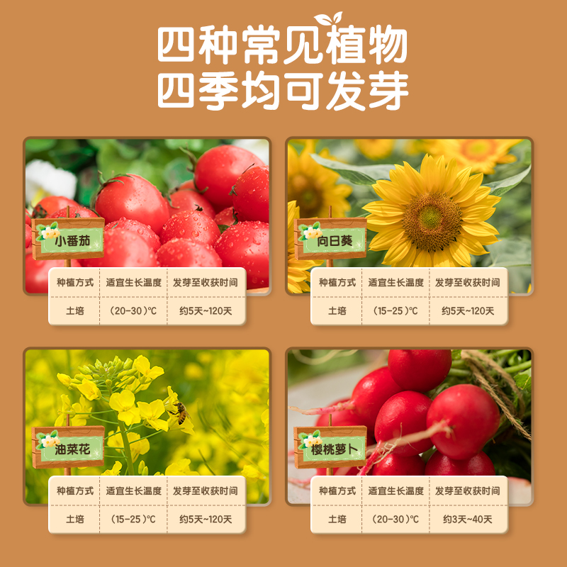 得力YX427種植太空艙(綠)(盒)