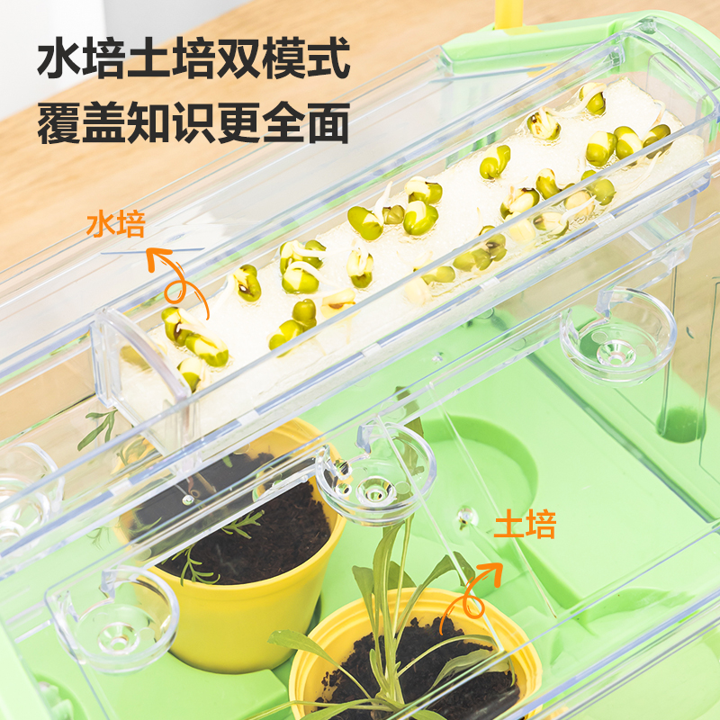 得力YX428種植陽(yáng)光房(綠)(盒)