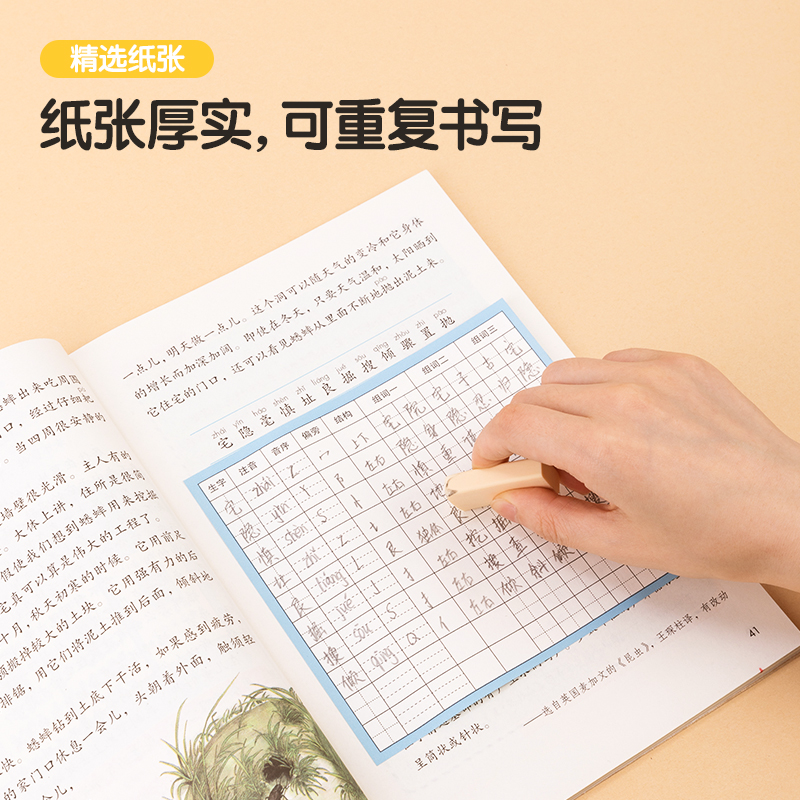 得力BT123預(yù)習(xí)卡(十行田字格)(本)