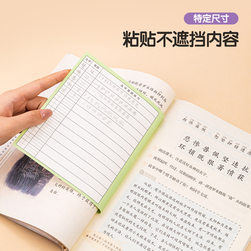 得力BT124預(yù)習(xí)卡(十三行田字格)(本)