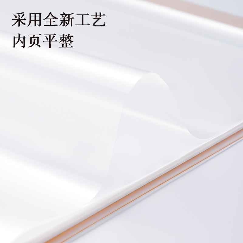 得力PQ603-30覓光30頁資料冊(混)(個)