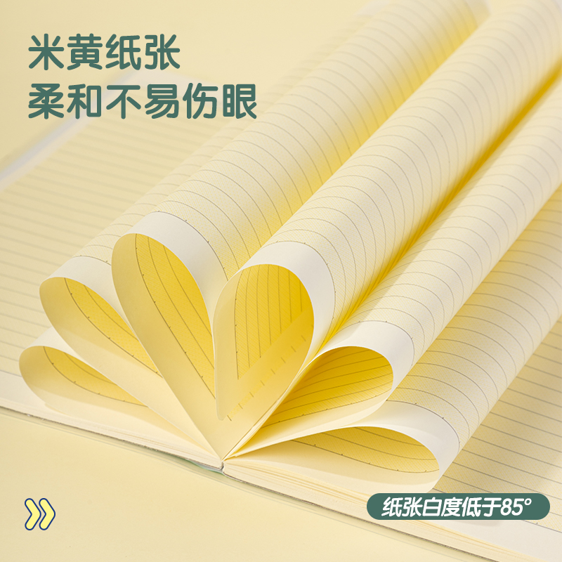 得力PT1680專利護(hù)眼膠套本(和光)(本)