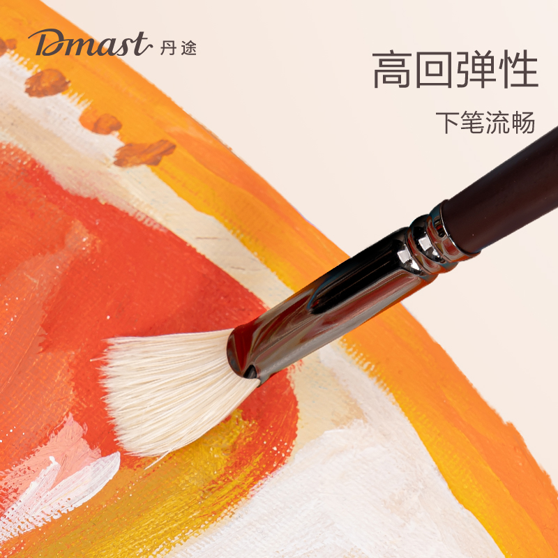 dmast丹途RB2_水洗豬鬃大筆型畫筆套裝(混)(11支/套)