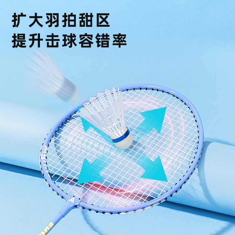 安格耐特FH108鐵分體羽毛球拍(2支/付)(帶3球)(藍(lán)+粉)(付)