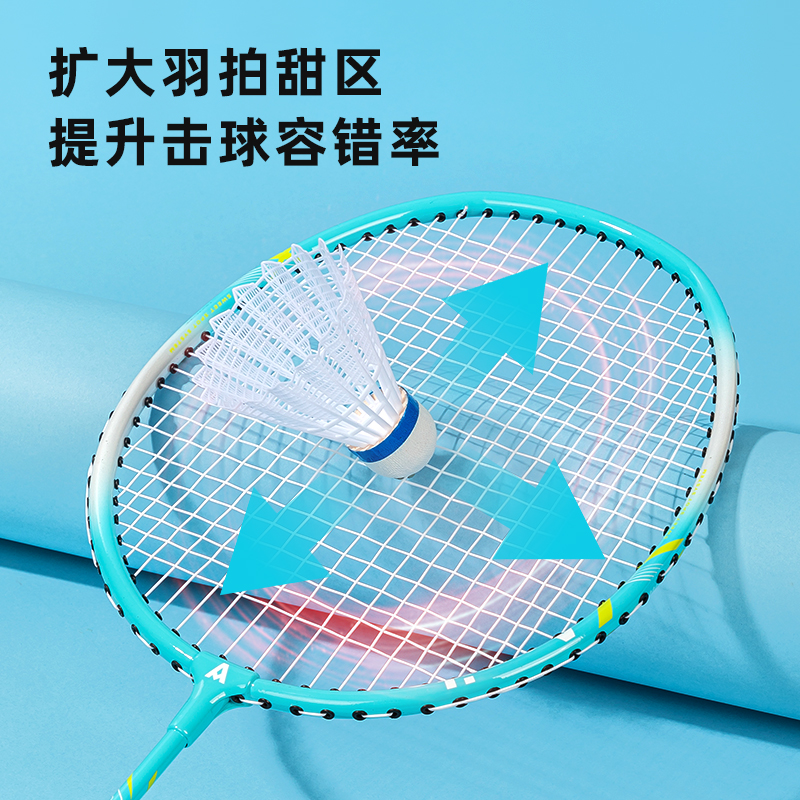 安格耐特FH109鐵鋁分體羽毛球拍(2支/付)(帶3球)(藍(lán)+粉)(付)