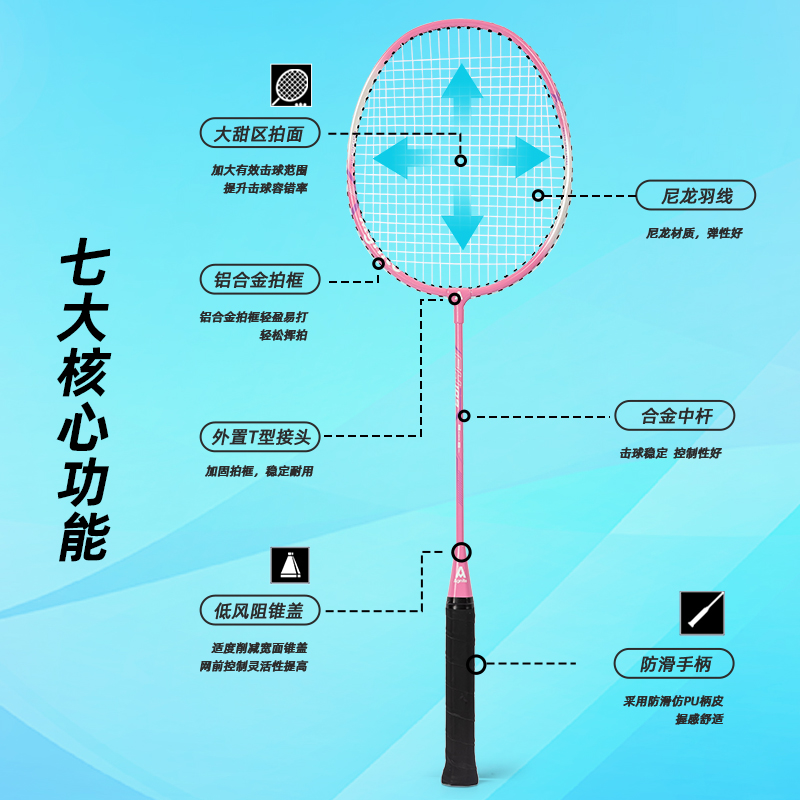 安格耐特FH109鐵鋁分體羽毛球拍(2支/付)(帶3球)(藍(lán)+粉)(付)