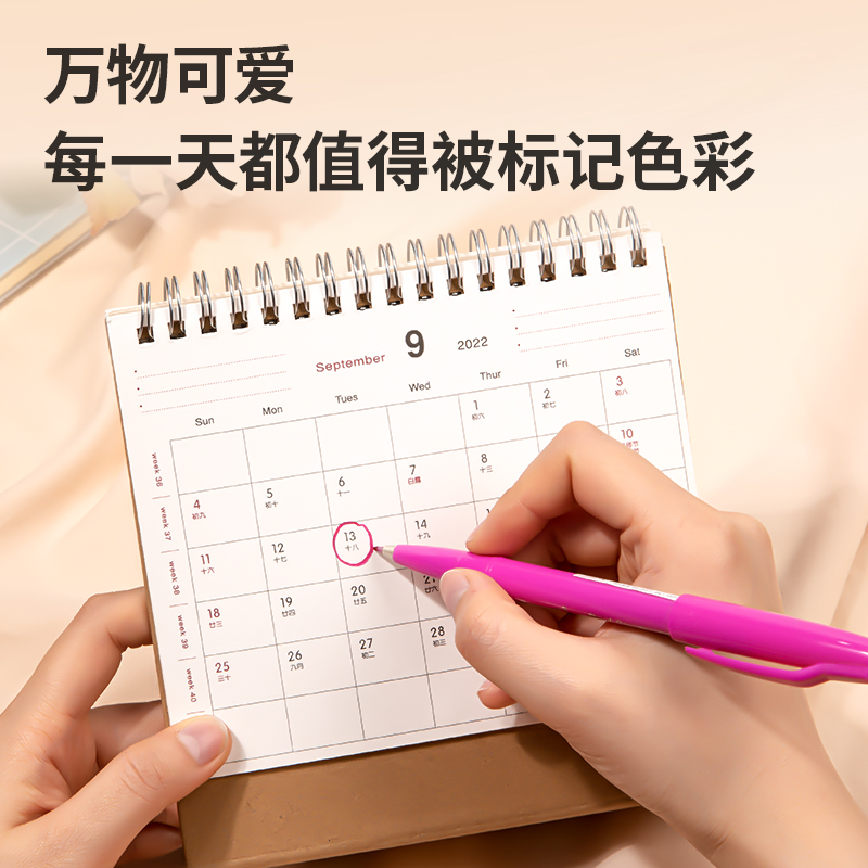 得力SK145彩色柔繪筆(混)(盒)