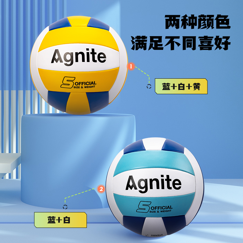 安格耐特FD301-2_5號發(fā)泡PVC機(jī)縫排球(藍(lán)+白)(個)