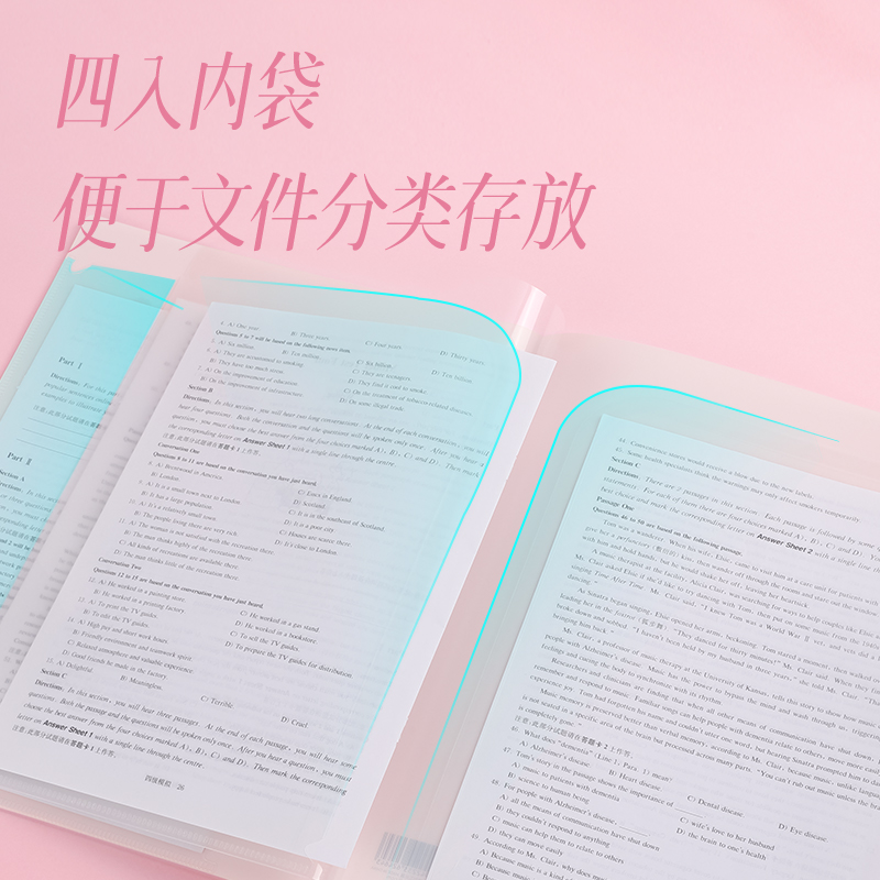 得力PP501_A4光櫻下4入文件套(櫻花混)(個(gè))