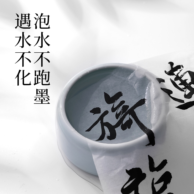 墨青言MY300-100一得閣聯(lián)名墨云練習(xí)墨汁(100g)(黑)(瓶)