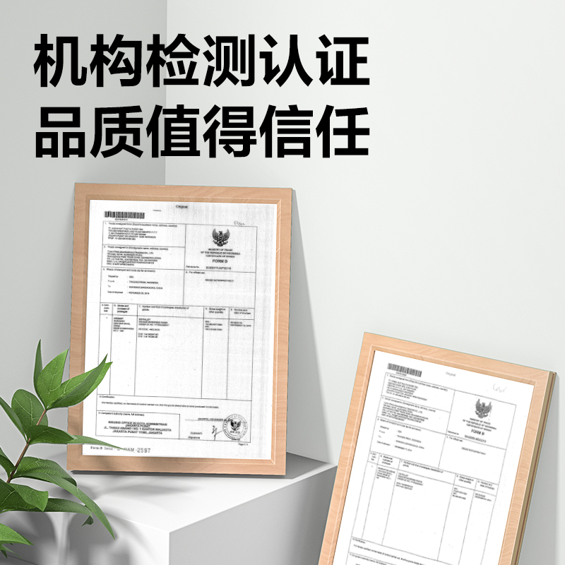 得力ZC001彩色復印紙70g-A4-100頁/包-25包(淺綠)(包)