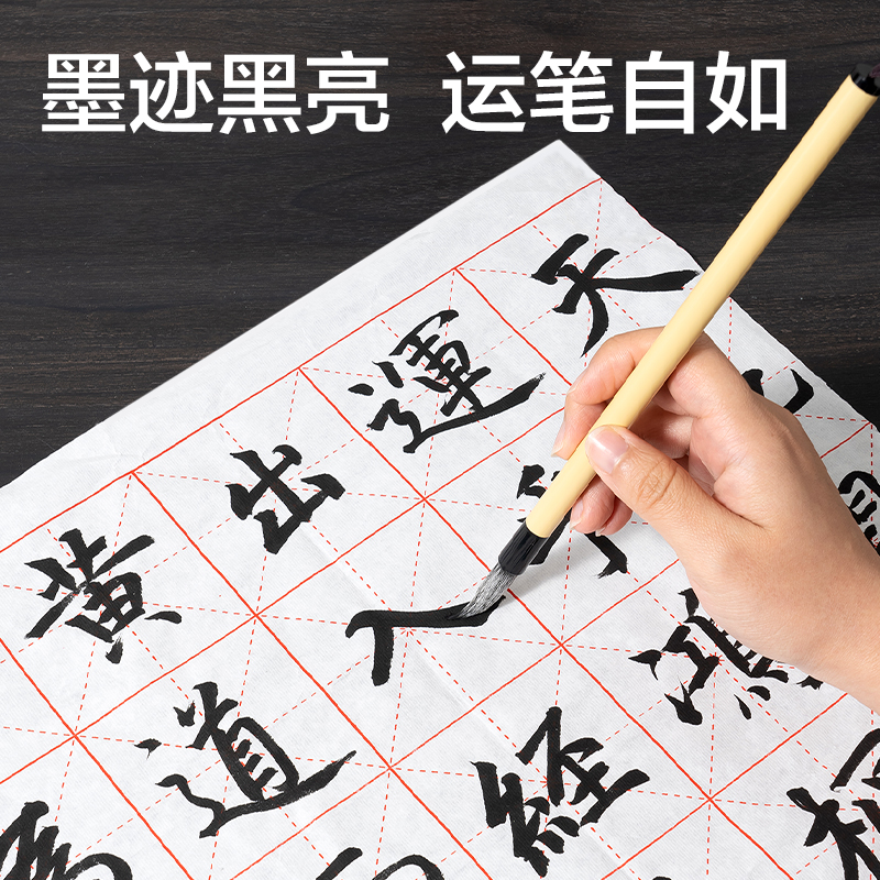 得力HW304-100練習墨汁100ml(黑)(瓶)