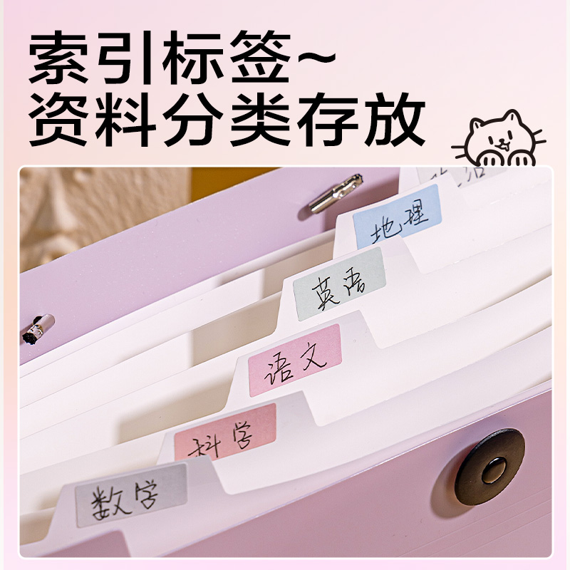 得力PM329線條獨(dú)白8格便攜學(xué)生風(fēng)琴包(混)(個(gè))