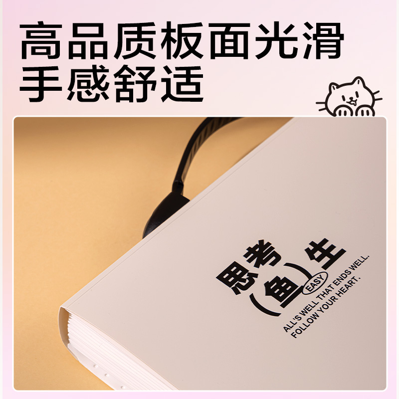 得力PM327線條獨(dú)白13格橫式學(xué)生風(fēng)琴包(混)(個(gè))