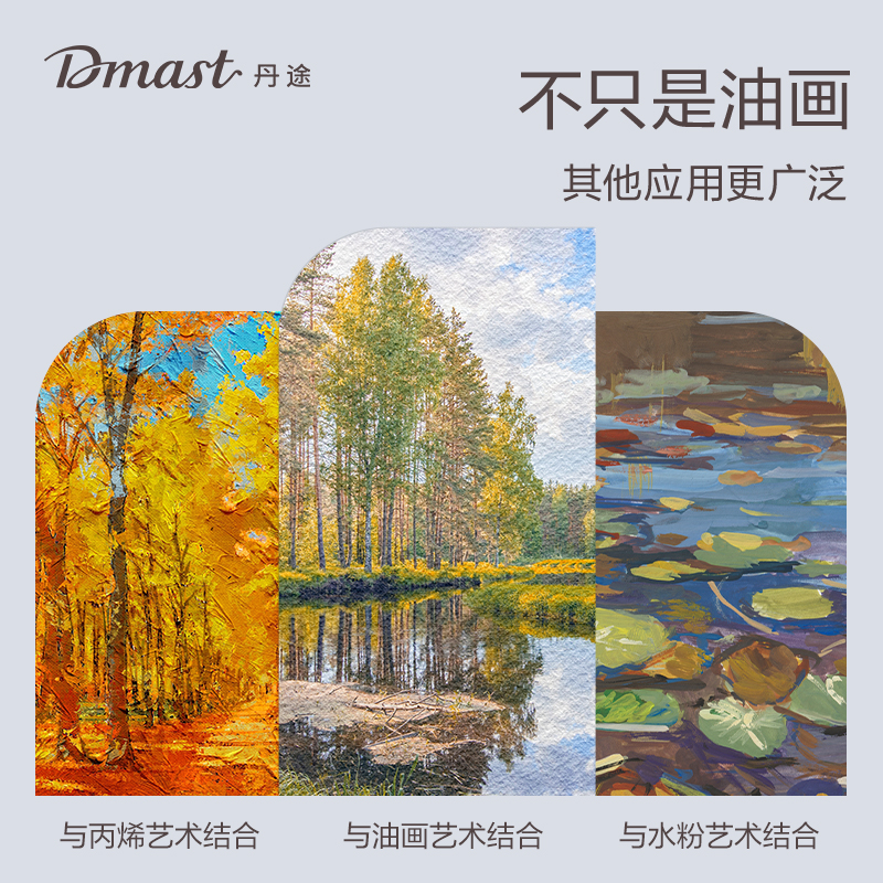 dmast丹途RS100-1畫布框-15*15cm(混)(個(gè))