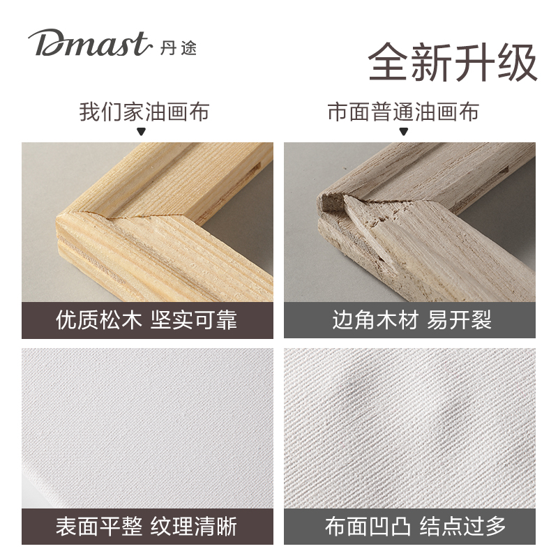 dmast丹途RS100-4畫(huà)布框-30*30cm(混)(個(gè))