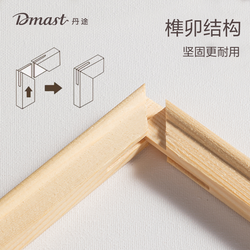 dmast丹途RS100-3畫布框-20*30cm(混)(個(gè))