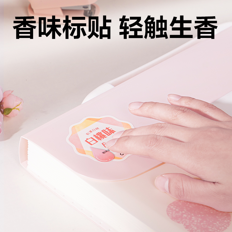 得力PM338覓旅系列13格風(fēng)琴包(混)(個(gè))