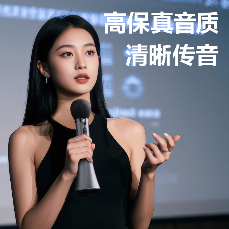 得力LT210演講寶便攜音響(黑)(臺)