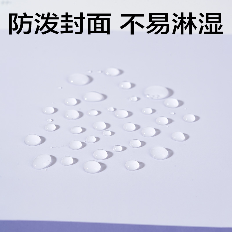 得力PQ339趣存A4_PP分類資料冊(cè)(綠)(個(gè))
