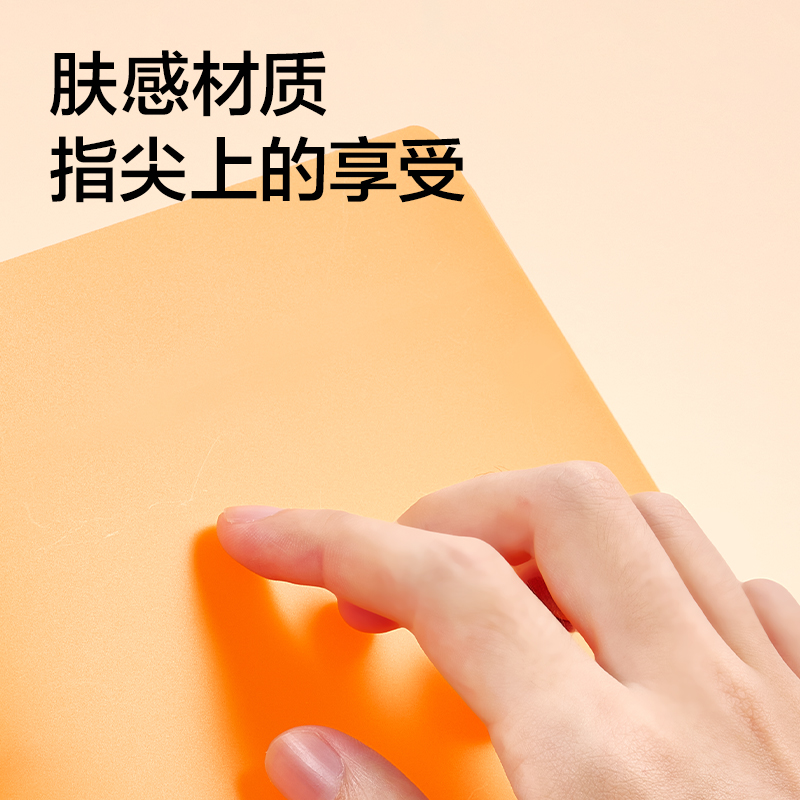 紐賽NS361-B5雙孔資料收納夾(混)(個）