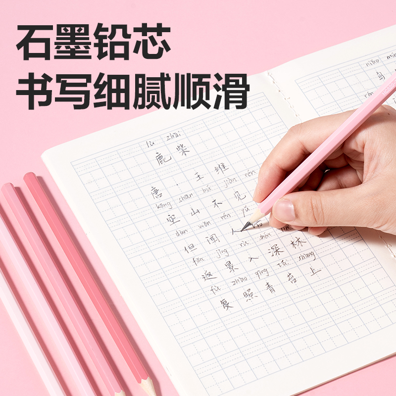 得力HC848-HB六角桿5色漸變書寫鉛筆HB(粉)(30支/筒)