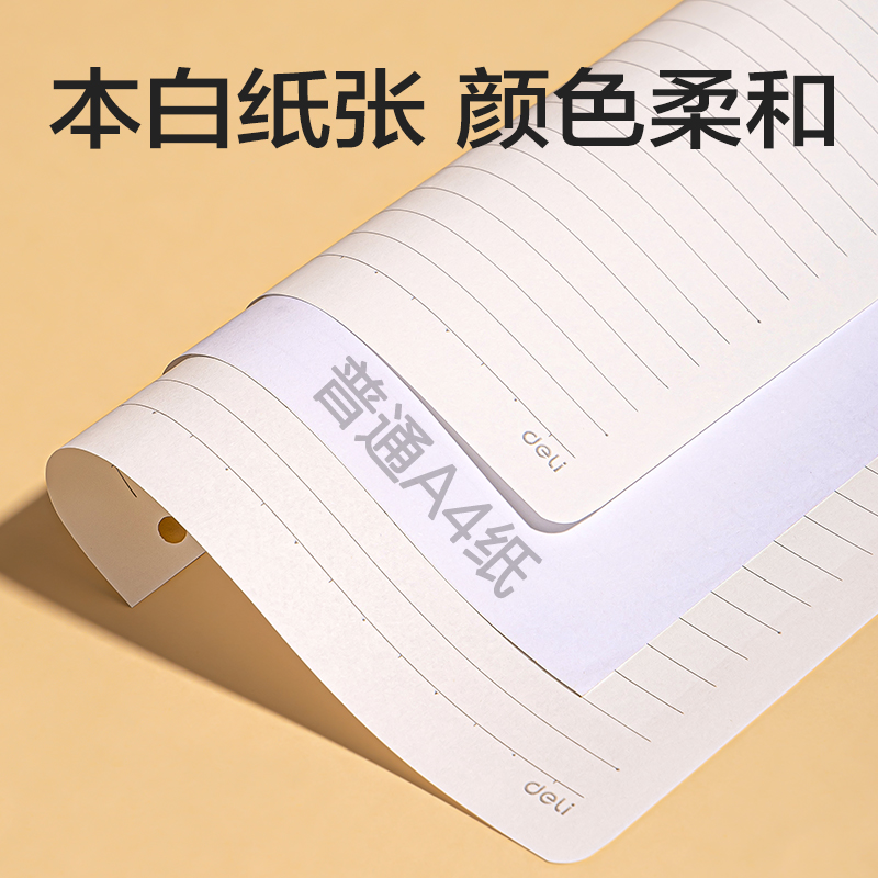 得力NA5180活頁替芯(橫線)(本)