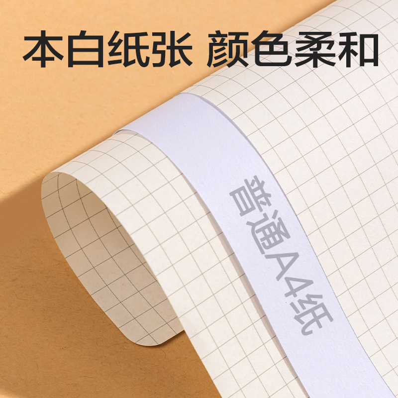 得力BDN20-01活頁(yè)芯-193*207mm 60張(橫線)(本)