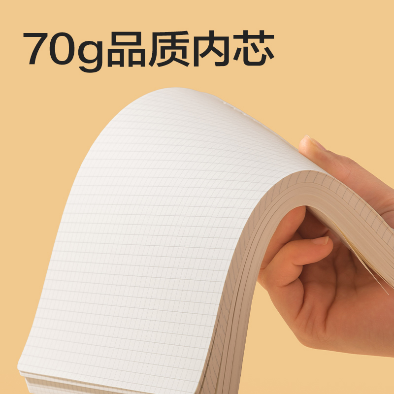 得力BDN20-01活頁(yè)芯-193*207mm 60張(橫線)(本)