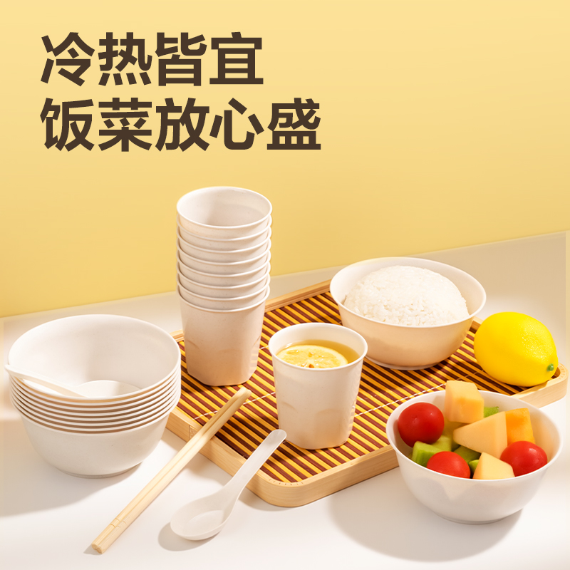 得力得心LL257 一次性餐具套裝(杯、碗、勺、筷)(混)(10人份裝)