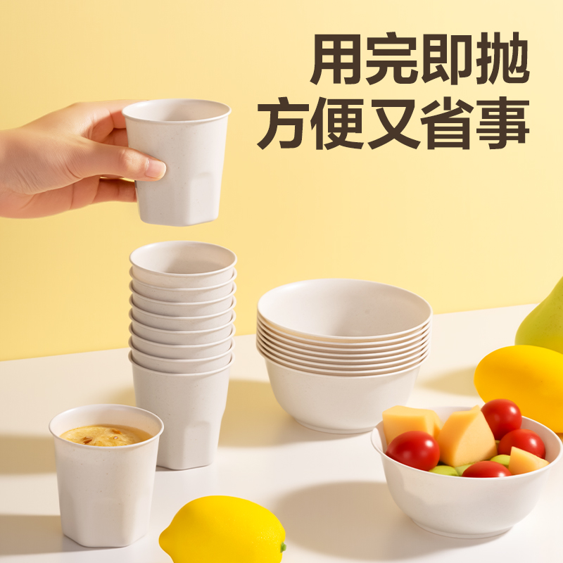 得力得心LL257 一次性餐具套裝(杯、碗、勺、筷)(混)(10人份裝)