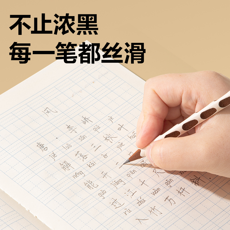 得力HC856-2B棕木洞洞書寫鉛筆2B(混)(10支/盒)