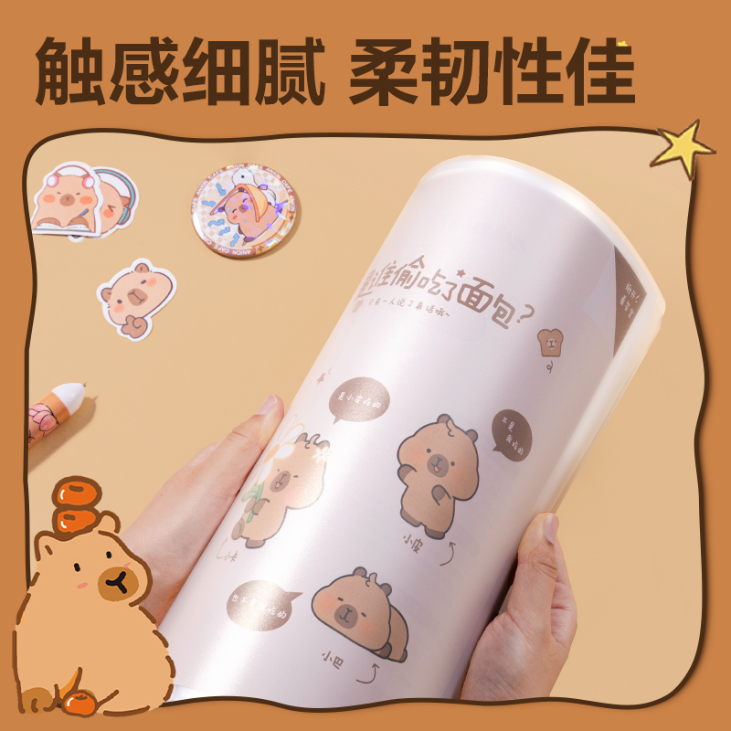 得力BL702-40卡皮巴拉系列40頁資料冊(混)(個)