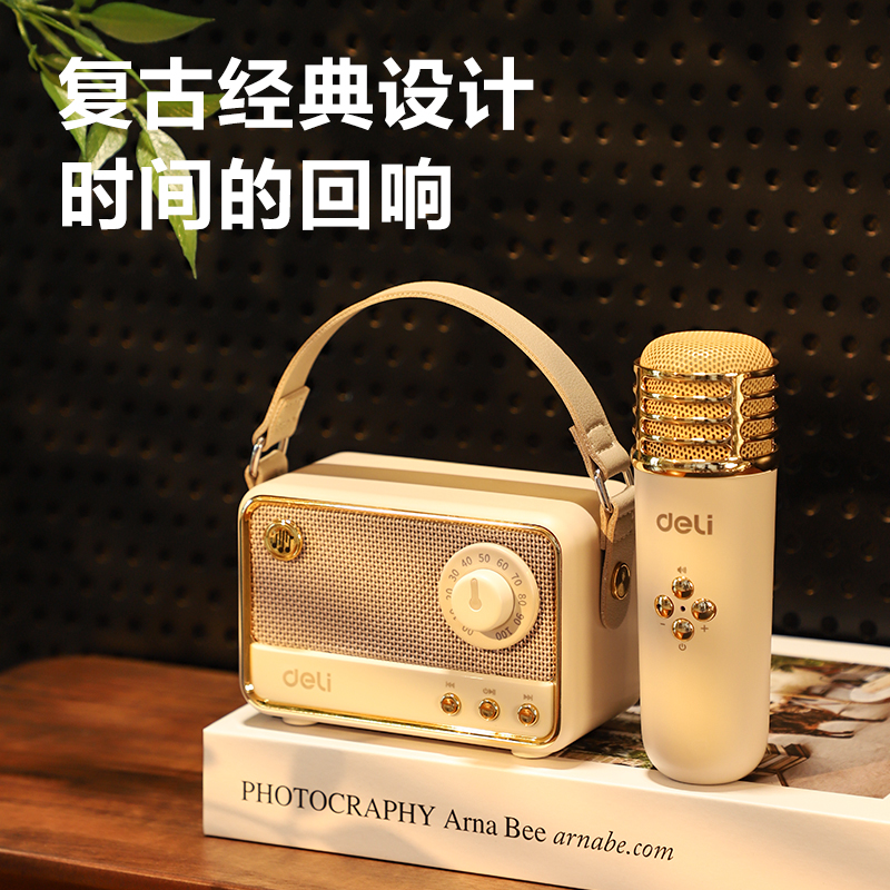 得力LT310B復(fù)古款K歌音響(雙麥)(米)(臺(tái))
