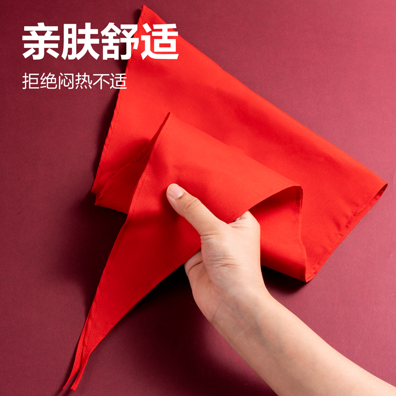 得力LZ500經(jīng)濟型滌綸紅領巾1m(紅色)(1條/袋)