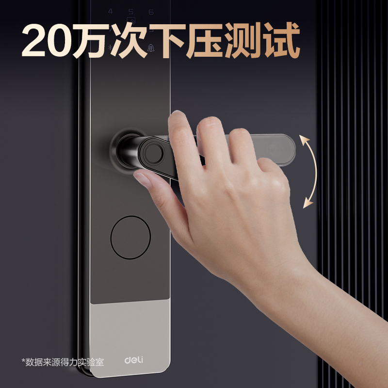 得力AL310門禁設(shè)備及配件智能門鎖(黑)(臺)