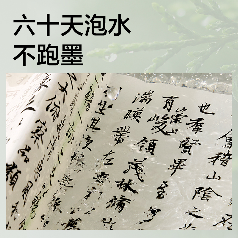 得力HW310-100一得閣聯(lián)名零甲醛墨汁(100g)(黑)(盒)