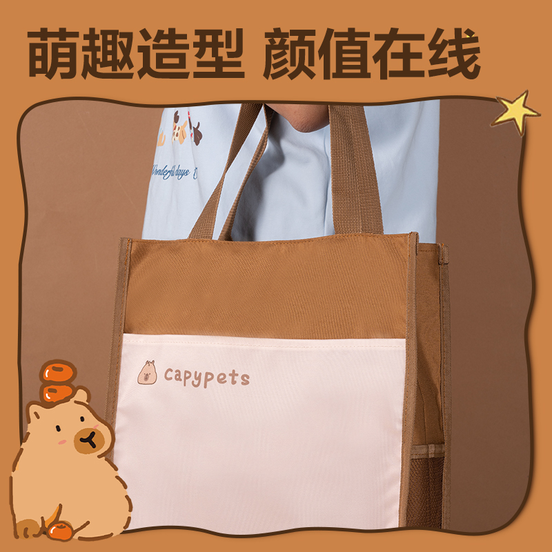 得力BL757卡皮巴拉簡約補習袋(混)(個)